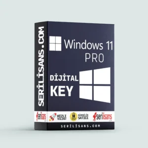 Windows 11 Pro Lisans