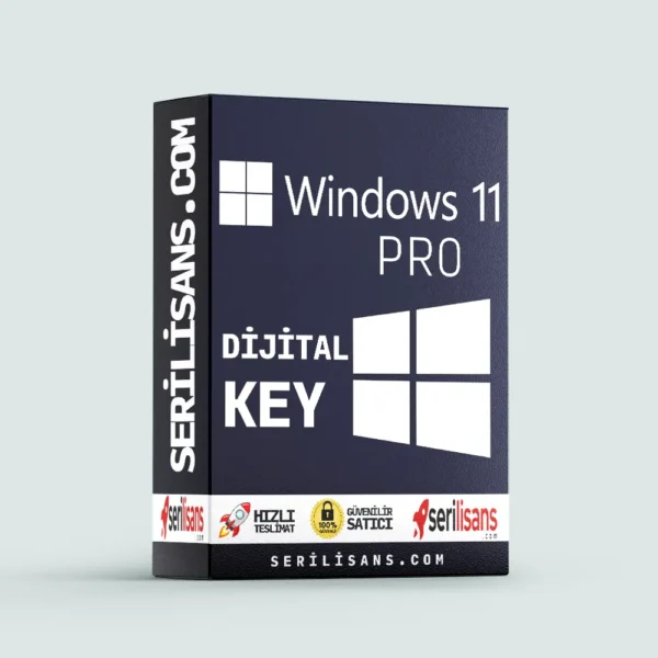 Windows 11 Pro Lisans